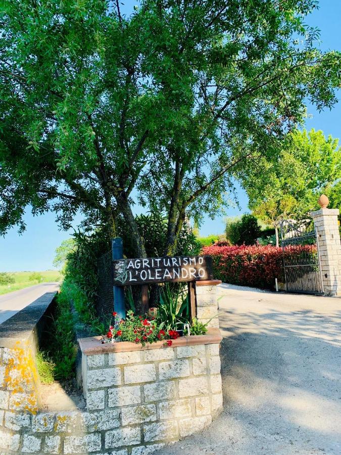 8380 Agriturismo L'Oleandro Montemerano Ngoại thất bức ảnh
