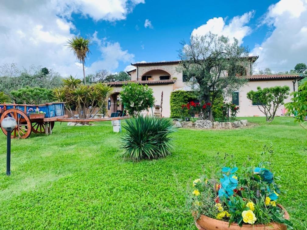 8380 Agriturismo L'Oleandro Montemerano Ngoại thất bức ảnh